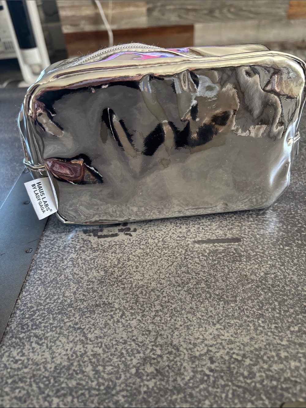 Haus Labs By Lady Gaga Metallic Silver Toiletry Pouch